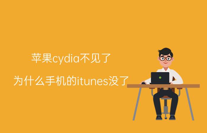 苹果cydia不见了 为什么手机的itunes没了？